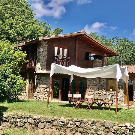 Quinta Dos Carvalhos The Wine House Farm In Center Of Lamego - Capital Of The Douro 빌라 외부 사진