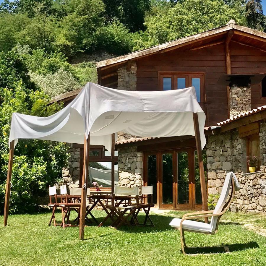 Quinta Dos Carvalhos The Wine House Farm In Center Of Lamego - Capital Of The Douro 빌라 외부 사진