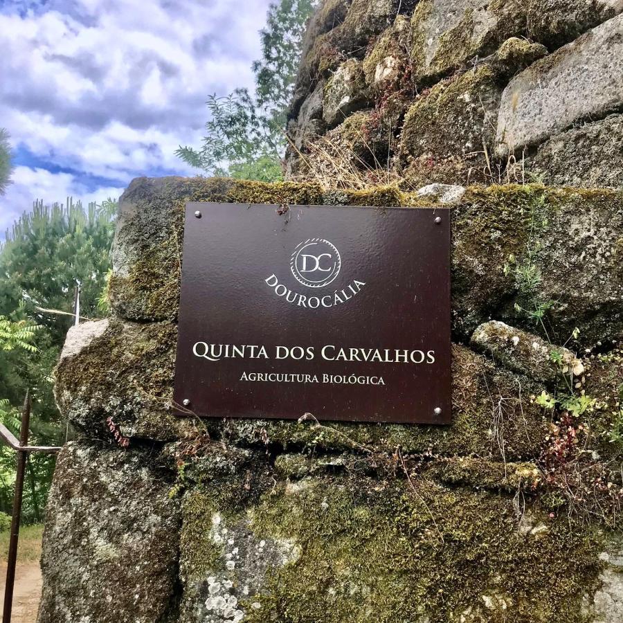 Quinta Dos Carvalhos The Wine House Farm In Center Of Lamego - Capital Of The Douro 빌라 외부 사진