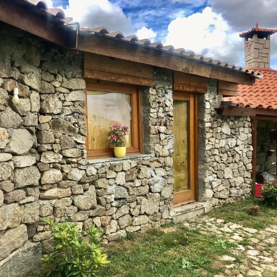 Quinta Dos Carvalhos The Wine House Farm In Center Of Lamego - Capital Of The Douro 빌라 외부 사진