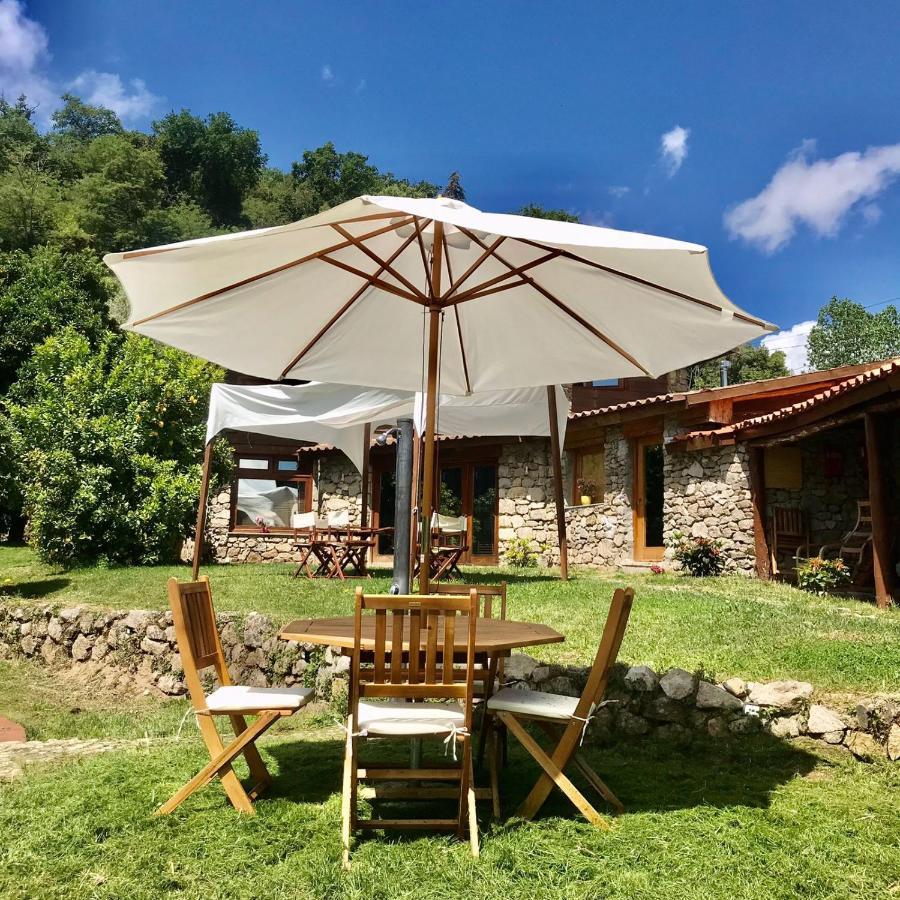 Quinta Dos Carvalhos The Wine House Farm In Center Of Lamego - Capital Of The Douro 빌라 외부 사진