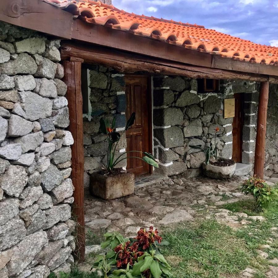 Quinta Dos Carvalhos The Wine House Farm In Center Of Lamego - Capital Of The Douro 빌라 외부 사진