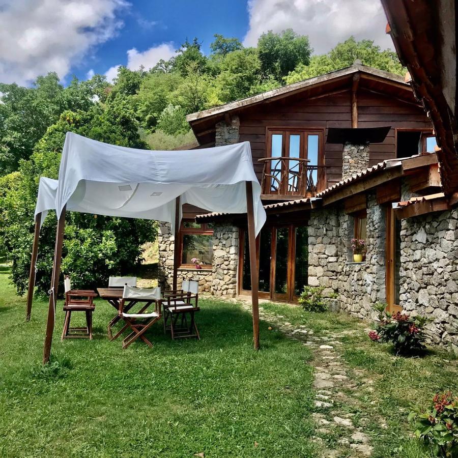 Quinta Dos Carvalhos The Wine House Farm In Center Of Lamego - Capital Of The Douro 빌라 외부 사진