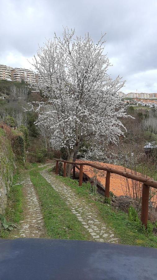 Quinta Dos Carvalhos The Wine House Farm In Center Of Lamego - Capital Of The Douro 빌라 외부 사진